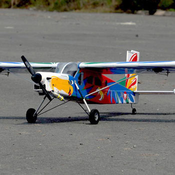 Pilatus PC-6 (Bird Version) 62.2in Wingspan